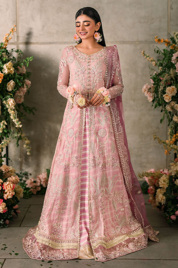 Maisha - Mushq Mastani Evening Chiffon