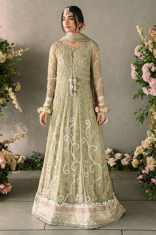 Namar - Mushq Mastani Evening Chiffon